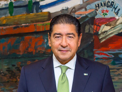 Mr Hisham Ezz elarab
