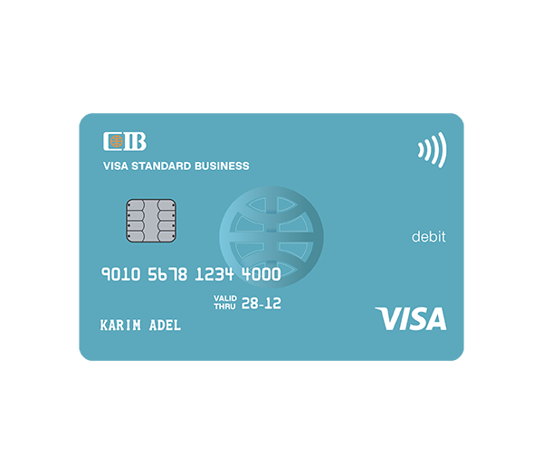 Visa Standard Debit Card