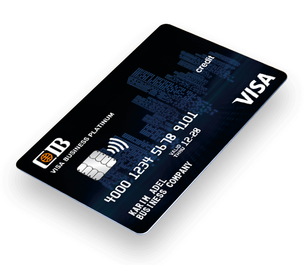 Visa Platinum Business Credit