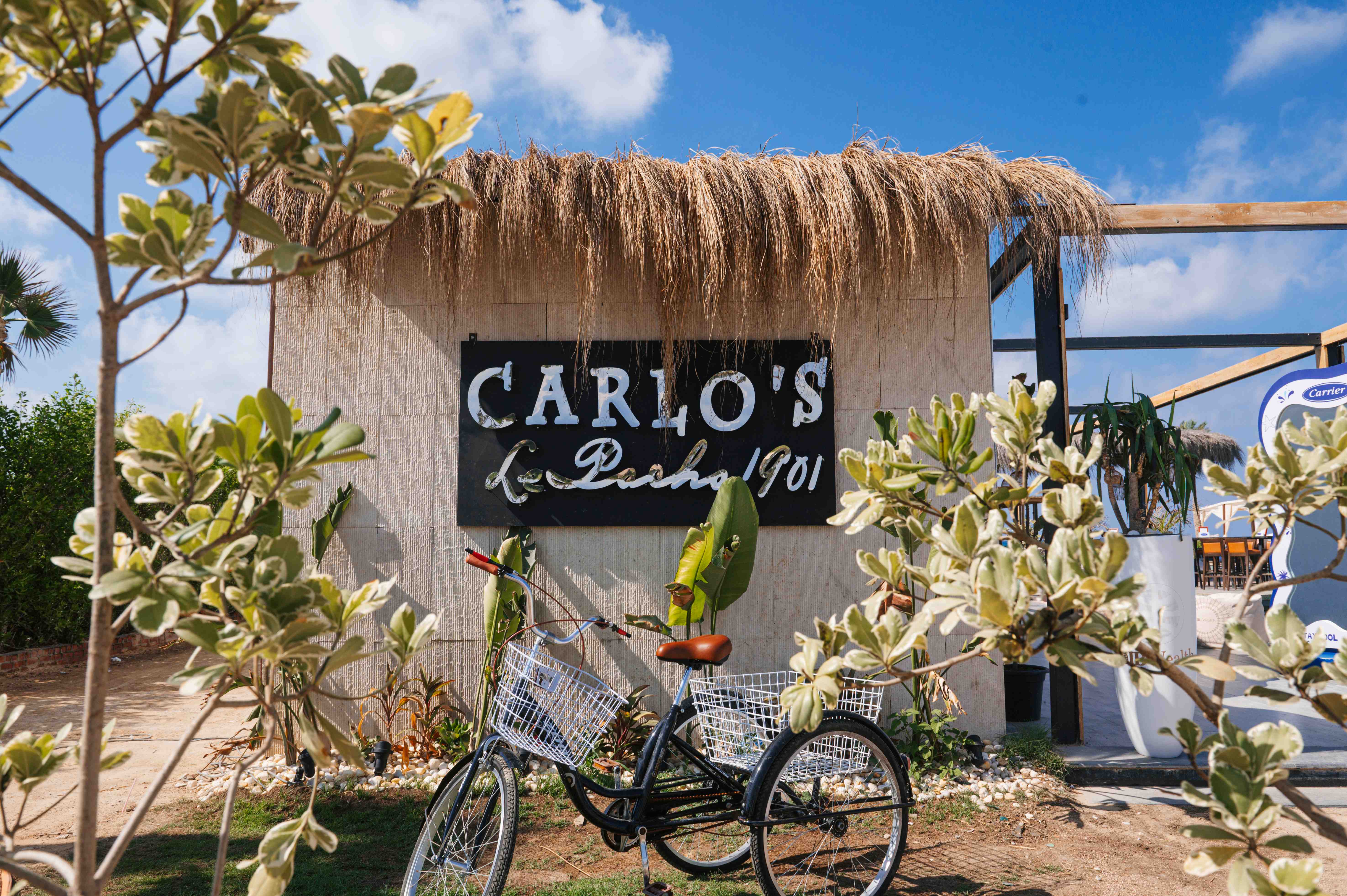 rsz - carlos - CIB-WLTH-78