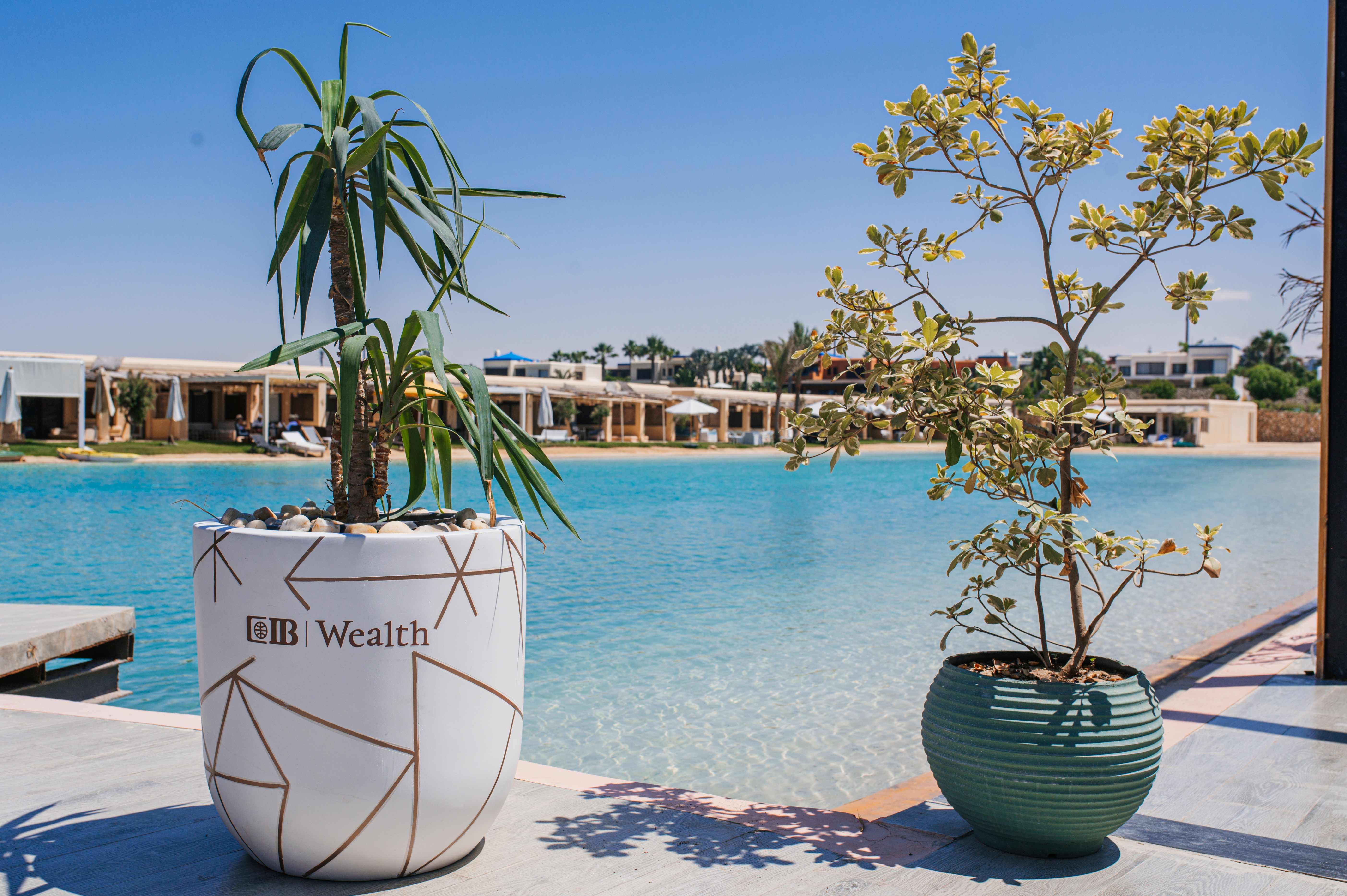 rsz - galambo - CIB-WLTH-18