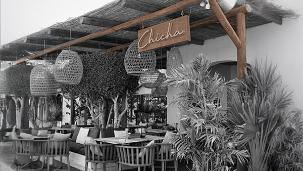 اكتشف امتيازات حصرية مع CIB Wealth في Chicha الجونة!